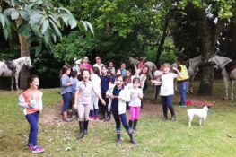 campamento-hipica-gijon
